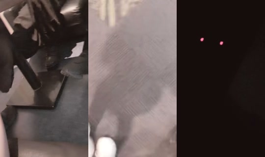 bo_oo04's Stream - Jul 29, 2026, 5:43 PM