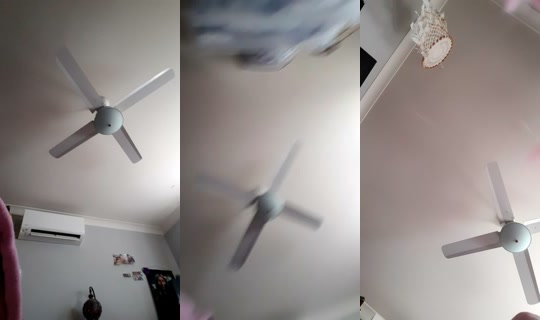 bossgurl202's Stream - Jul 24, 2026, 4:31 AM