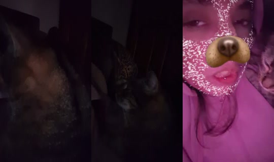 bossgurl202's Stream - Jul 26, 2026, 4:15 PM