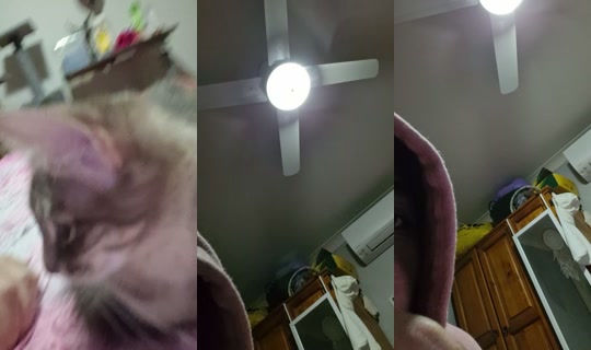 Live de bossgurl202 - 27 de jul. de 2026, 10:52