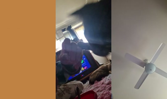 بث bossgurl202 - 1 سبتمبر 2026، 4:25 ص