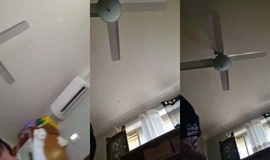 bossgurl202's Stream - Sep 20, 2026, 4:22 AM