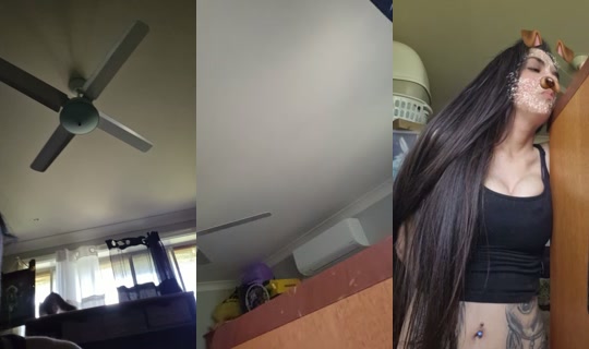bossgurl202 Registrato il 9 ott 2026, 1:13