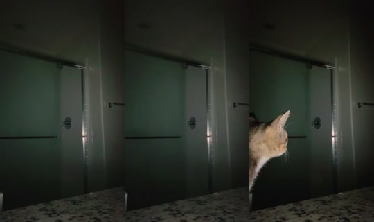 brinabobeana's Stream - Aug 4, 2026, 11:25 AM