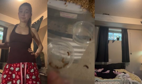 brookelush05's Stream - Aug 10, 2026, 2:04 AM