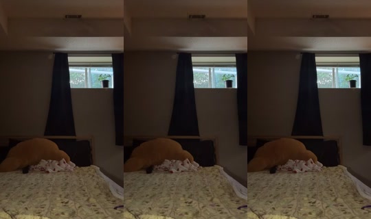 Stream di brookelush05 - 11 ago 2026, 1:27