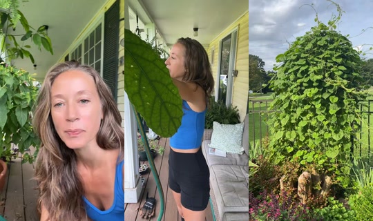 bsgardening's Stream - Jul 22, 2026, 1:09 PM