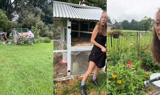 bsgardening's Stream - Jul 23, 2026, 1:42 PM