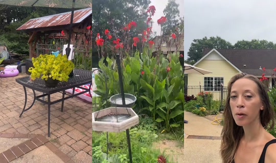 bsgardening's Stream - Jul 24, 2026, 1:43 PM
