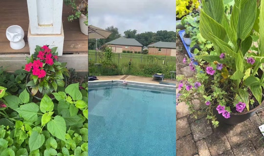 bsgardening's Stream - Jul 27, 2026, 2:22 PM