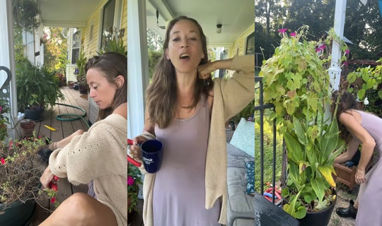 bsgardening's Stream - Aug 8, 2026, 12:24 PM