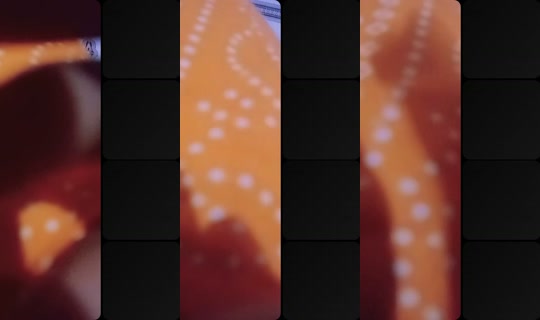 caaltuu239 Recorded on Jul 15, 2026, 4:45 PM