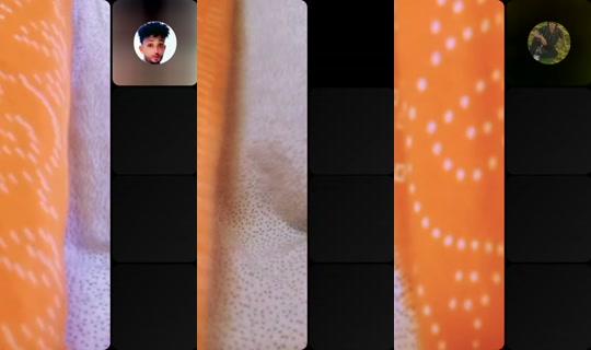 caaltuu239 Recorded on Jul 16, 2026, 1:38 PM