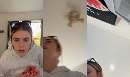 caitybarty's Stream - Jul 19, 2026, 2:52 AM