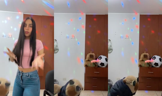 capyperu's Stream - Jul 13, 2026, 2:56 AM