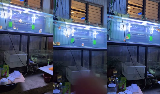 cesss1202's Stream - Jul 15, 2026, 10:49 AM