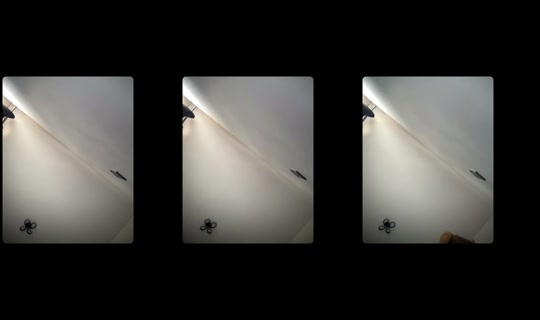 cheese8593's Stream - Jul 21, 2026, 5:19 AM
