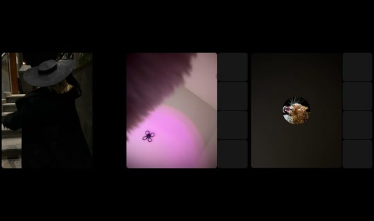 cheese8593's Stream - Aug 5, 2026, 3:17 PM