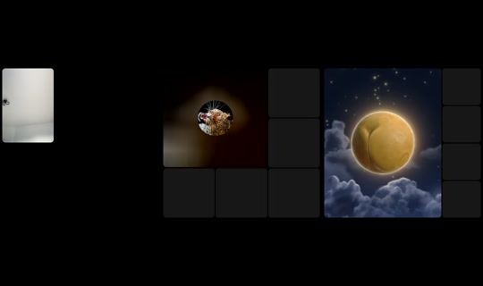 cheese8593's Stream - Aug 24, 2026, 2:13 PM