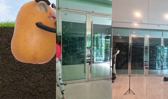 chengyunadabaobao's Stream - Sep 16, 2026, 1:46 AM