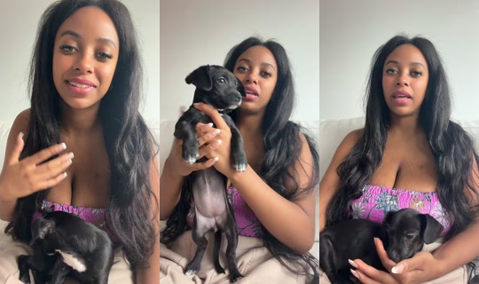 chickentendais's Stream - Jul 19, 2026, 5:21 PM
