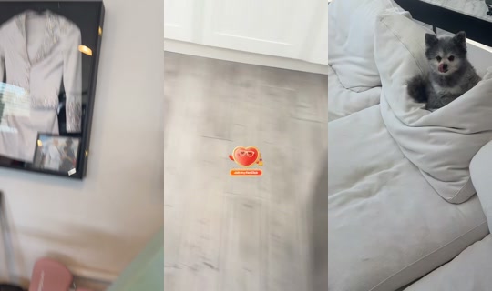 cjperrytiktok's Stream - Jul 9, 2026, 10:06 PM