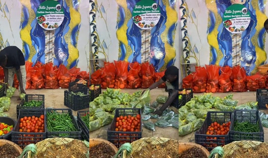 condane.dione4's Stream - Jul 16, 2026, 10:33 AM