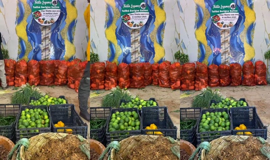 condane.dione4's Stream - Jul 16, 2026, 12:36 PM