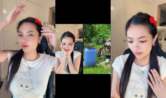 cryb.kitty's Stream - Jul 24, 2026, 11:33 AM
