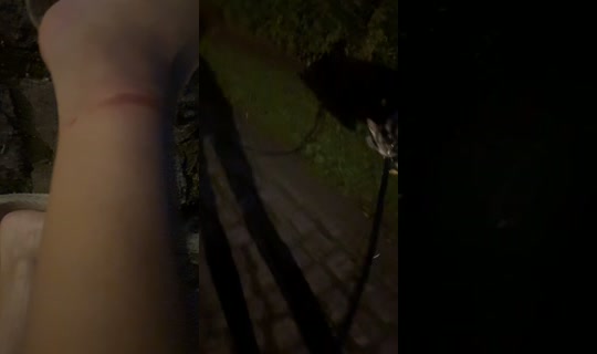 cuteandcomplicated's Stream - Jul 15, 2026, 8:36 PM