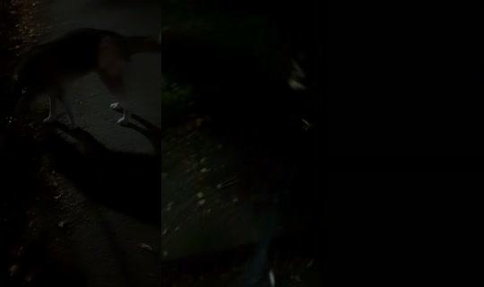 cuteandcomplicated's Stream - Aug 5, 2026, 8:22 PM