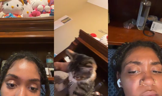 danaeephillips1's Stream - Oct 11, 2026, 10:34 PM
