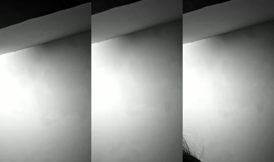 dantizaap4534's Stream - Jul 24, 2026, 8:56 AM