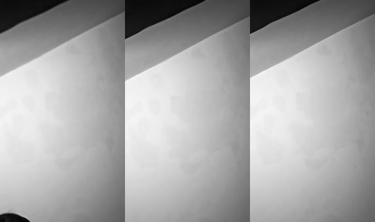 dantizaap4534's Stream - Aug 7, 2026, 8:05 AM