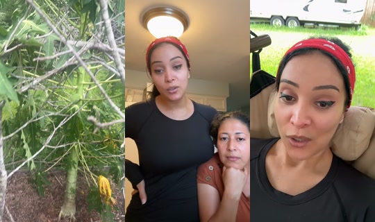 darlyn.moreno's Stream - Aug 6, 2026, 7:12 PM
