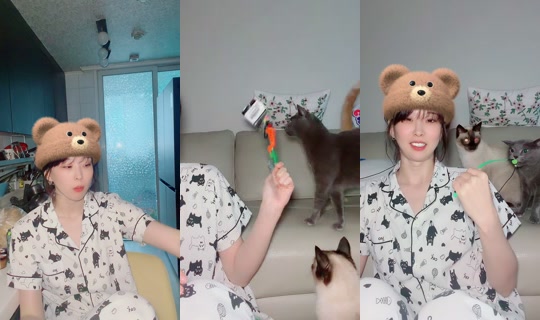 dd920311's Stream - Jul 21, 2026, 7:53 AM