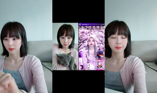 dd920311's Stream - Sep 14, 2026, 8:22 AM