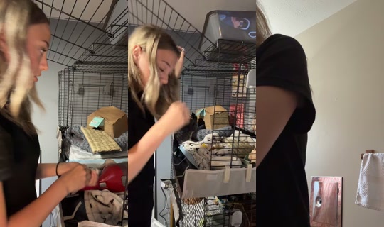 des.secret.2.0's Stream - Jul 28, 2026, 3:38 PM