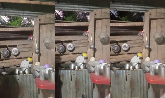 diana.rendon7340's Stream - Jul 15, 2026, 11:38 PM