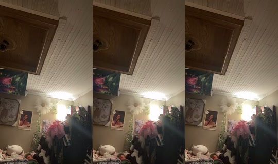 dizzymiss.lizzie's Stream - Jul 22, 2026, 1:40 AM