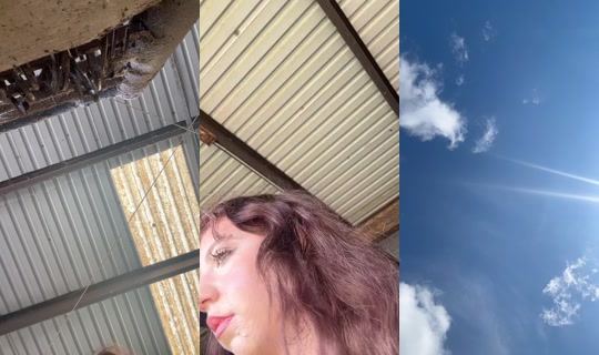 dizzymiss.lizzie's Stream - Aug 24, 2026, 3:37 PM