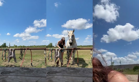 dizzymiss.lizzie's Stream - Aug 24, 2026, 4:51 PM