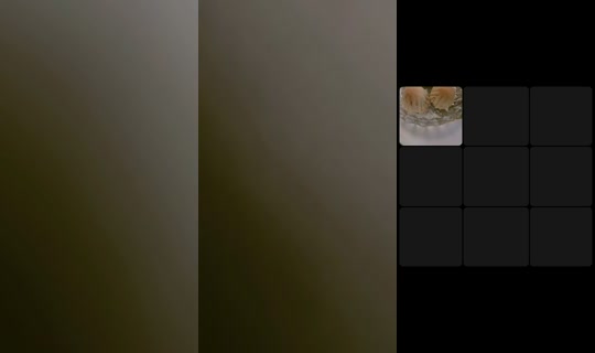 doctor0081's Stream - Jul 22, 2026, 6:13 PM