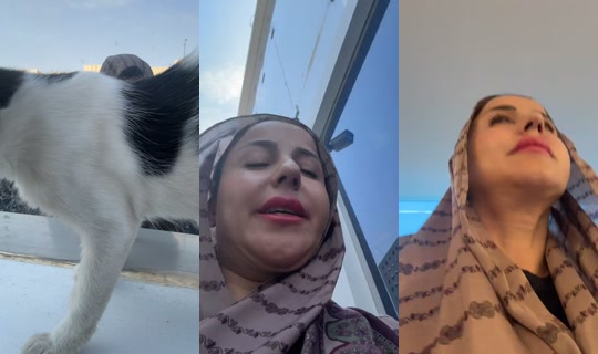 بث dodiota - 27 يوليو 2026، 7:02 ص