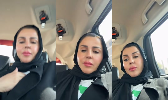 dodiota's Stream - Jul 30, 2026, 6:22 AM