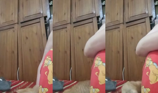 dodo.sh70's Stream - Jul 18, 2026, 5:09 PM
