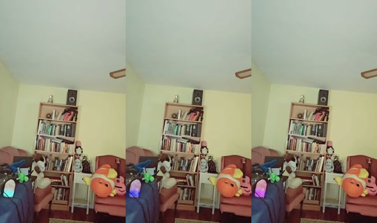 dollpeekaboo's Stream - Aug 4, 2026, 2:09 AM