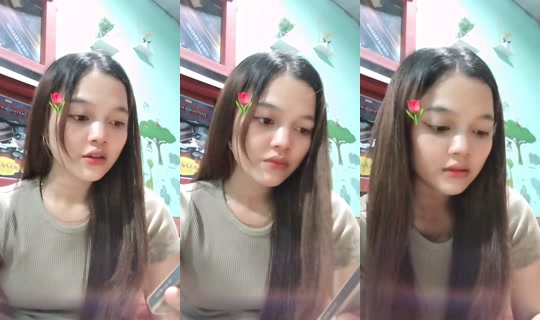 doplhin's Stream - Aug 26, 2026, 2:23 PM