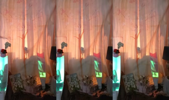 بث doro.dance8 - 27 يوليو 2026، 4:07 ص