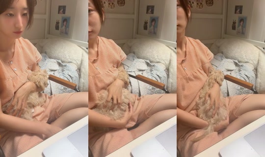 effy23715's Stream - Jul 9, 2026, 11:15 AM